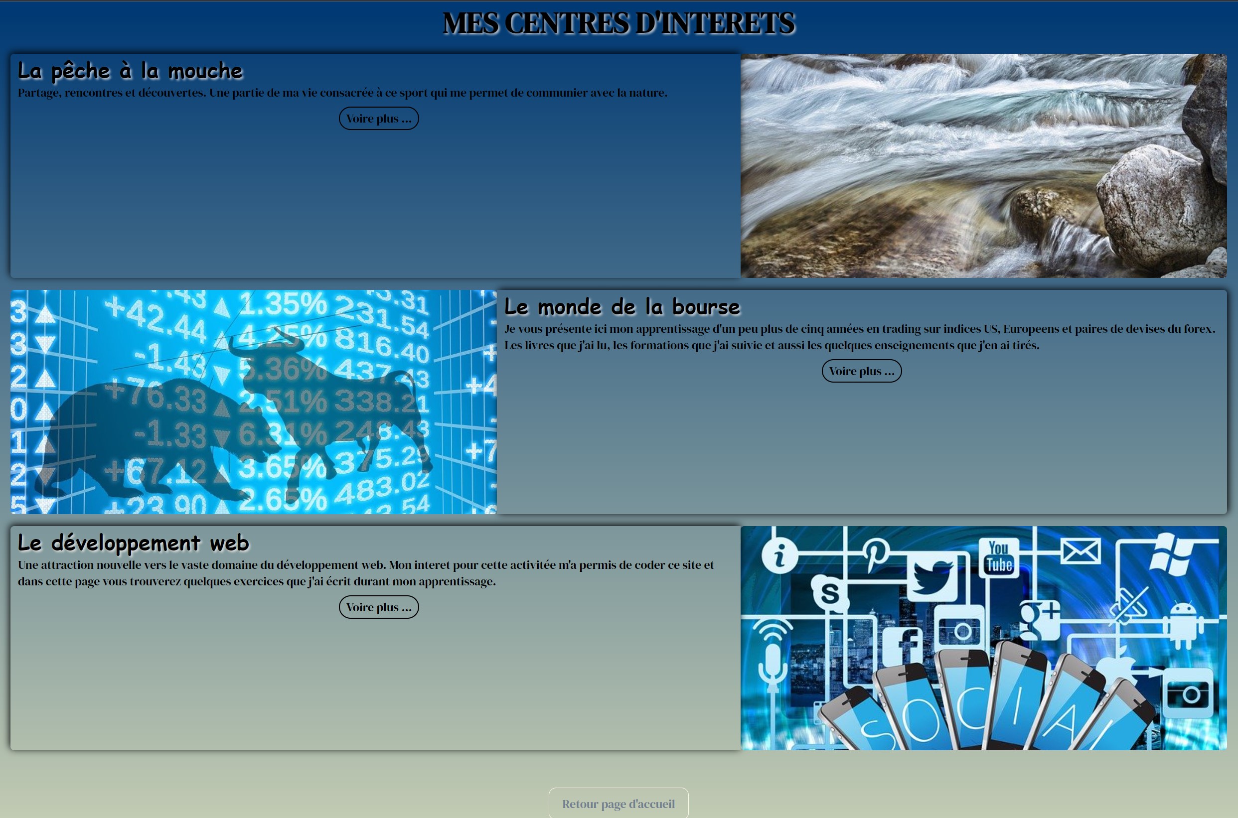 image de  la page d'accueil de mon blog